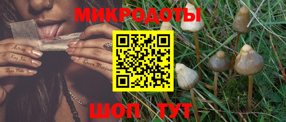 Галлюциногенные грибы ЛСД Среднеуральск